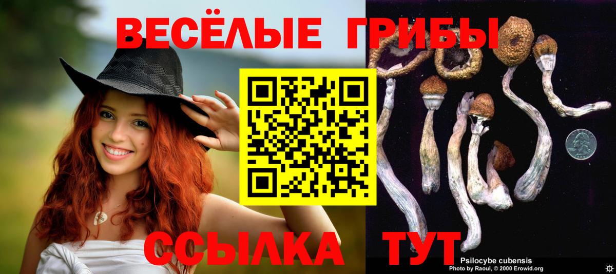 Галлюциногенные грибы прущие грибы  Псилоцибиновые грибы MAGIC MUSHROOMS  Новозыбков  Вход с VPN 